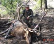 Hunt Photo